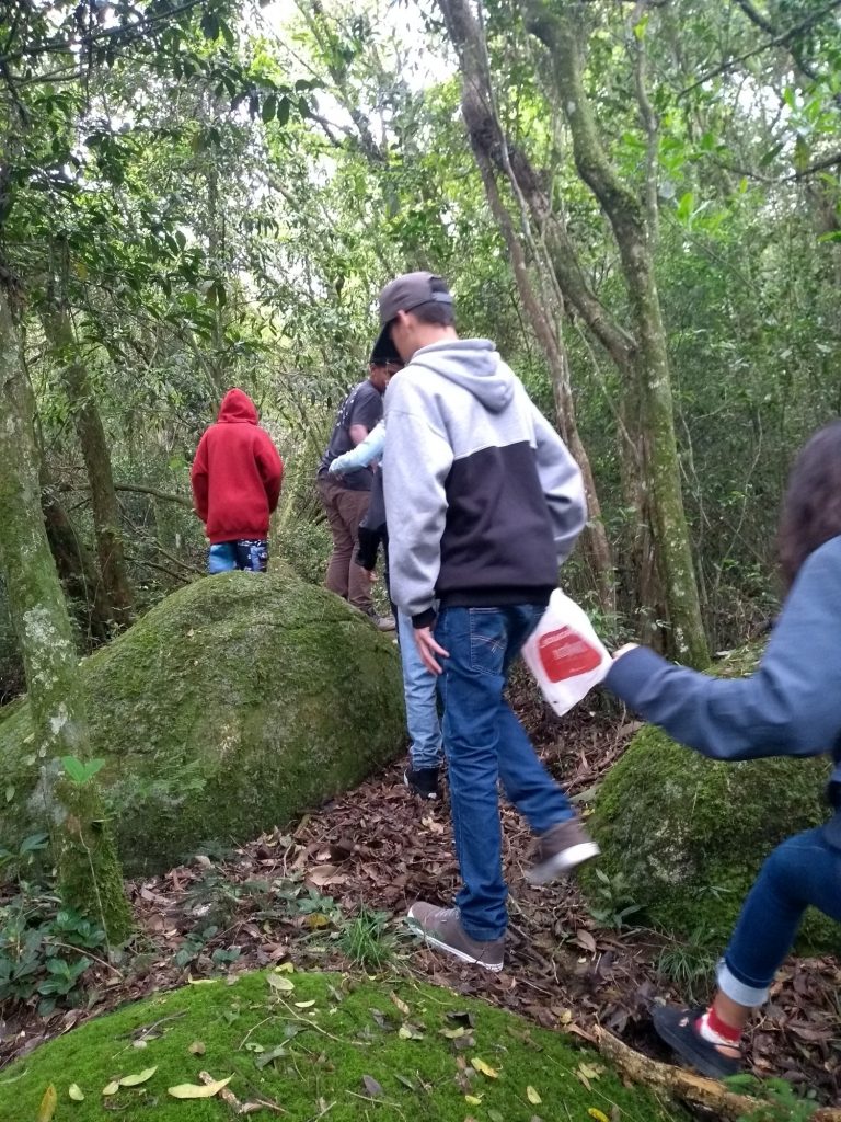 Tudo Muda: um projeto de design colaborativo e economia circular no ensino fundamental